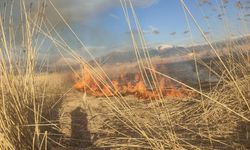 Van'da sazlık yangını!