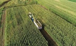 Tarlalardaki izinsiz yapılar bir ay içinde yıkılacak