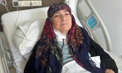 20 yıllık tümör Van'da yapılan ameliyatla alındı