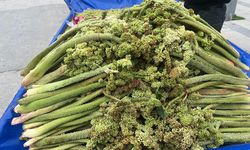 Van’da uçkun sezonu başladı! Fiyatı dudak uçuklatıyor