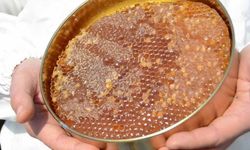 Uygunsuz balın piyasaya girişi engellenecek