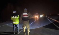 Van ve Hakkari’de operasyon!