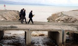 İnci kefalinin üreme göçüne sıkı takip! Avlamayın, satmayın ve sattırmayın