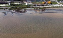 Van Gölü kıyılarında suyun rengi değişti