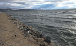 Van Gölü'nde bu yıl yüzleri güldürecek bir tablo mevcut