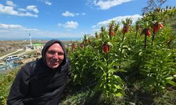 Ters laleleri görmek için İngiltere'den Van'a geldi