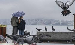 Yağışlar geçen yıla göre yaklaşık 3 kat arttı