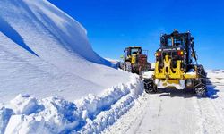 Bahçesaray-Hizan yolu ulaşıma açıldı