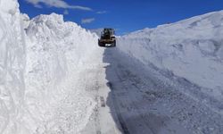 Van'da 5 metreyi bulan karda yol açma çalışması