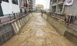 Yüksekova'da bereket taşkını