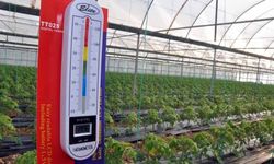 Zirai don uyarısı sonrası üreticiler tedbirlere odaklandı