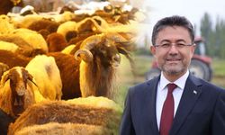 Vanlı Besiciye Çifte Bayram: Elde Kalan Kurbanlıkları Devlet Alacak!