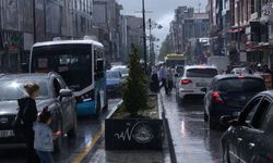 Van’da bayramda yağış olacak mı? Meteoroloji verileri paylaştı
