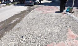 Van’ın asırlık çınarı İskele Caddesi köstebek yuvasına döndü!