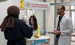 Yüksekova'da "sessiz tehlike" mesaisi