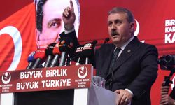 Destici’den Vanlı Hamza Hatırlatması: Bir Çocuğumuzun Daha Canı Yanmasın!