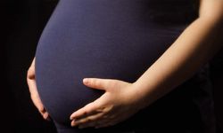 Van’da doğurganlık hızı son 3 yılda düşüş gösterdi