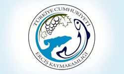 Van'da kamuya ait 15 araç ihale yoluyla satışa çıkarılıyor
