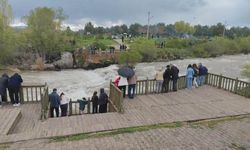 Soğuk hava göçü erteledi! İnci kefalini görmeye gelenler eli boş ayrıldı