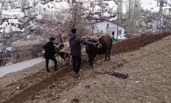 Van'da zamana direnen gelenek