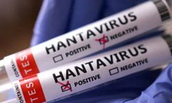 Sağlık Bakanlığ'dan hantavirüs açıklaması