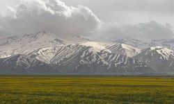 Yüksekova'da iki mevsim bir arada yaşanıyor