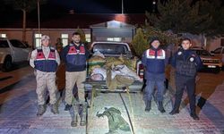 Van'da 630 kilo inci kefali ele geçirildi