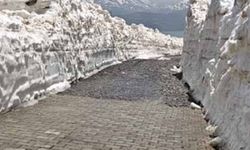 Kar kalınlığının 7 metreyi bulduğu Nemrut yolunda çalışma başlatıldı