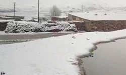 Gürpınar’da mayıs ayında kar sürprizi