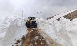 Van'da mayısta karla mücadele