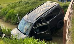 Van'da kontrolden çıkan kamyonet su kanalına düştü!