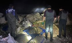 Van'da kaçak avlanan bir ton ölü inci kefali ele geçirildi