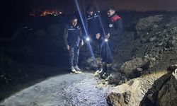 İnci kefalinin göç popülasyonu ekipleri şaşırttı
