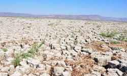Türkiye'de bu yıl da sıcaklık rekorları kırılabilir