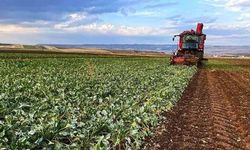 Çiftçilere yılın ilk çeyreğinde 35,6 milyar liralık destek ödemesi yapıldı