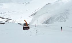 Van-Bahçesaray yolu 5 ay sonra açılıyor