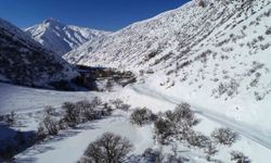 Mayıs ayında kardan dolayı Van'da 30 yol kapandı