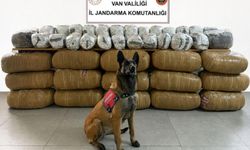 Van'da büyük operasyon! Yarım tona yakın ele geçirildi