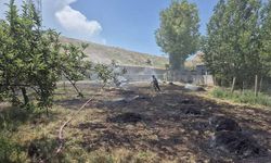 Erciş'te bahçe yangını korkuttu