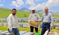 Bodrumlu arıcı, 5 yıldır Yüksekova'da bal hasadı yapıyor