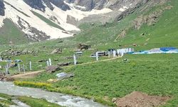 Cennet Cehennem Vadisi'nde güreş finali heyecanı