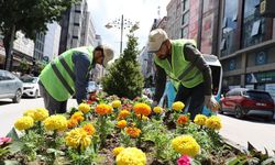 Van’ın işlek caddesine 17 bin çiçek dikildi