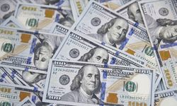 Dolar endeksi son 13 ayın zirvesinde