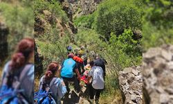 Hakkari'de kayalıklardan düşen vatandaş kurtarıldı