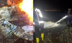 Van Gölü'nde kaçak avlanan 400 kilo inci kefali suya bırakıldı