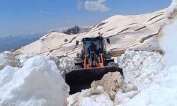 Hakkari'de yaz günü karla mücadele devam ediyor