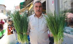 Van'da şifalı otların tezgah ömrü uzadı