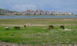 Sıhke Gölü çevresini çöp sardı!