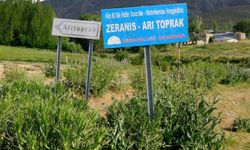 Van'da kuduz alarmı! Mahalle karantinaya alındı