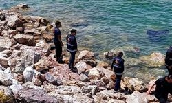 Otomobil Van Gölü'ne uçtu: Sürücü yaralı kurtarıldı